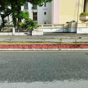 Planted Median Strip