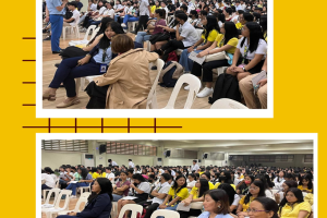 Reorientation Training on UDM Learning Management System Highlights Women’s Participation and Mentorship